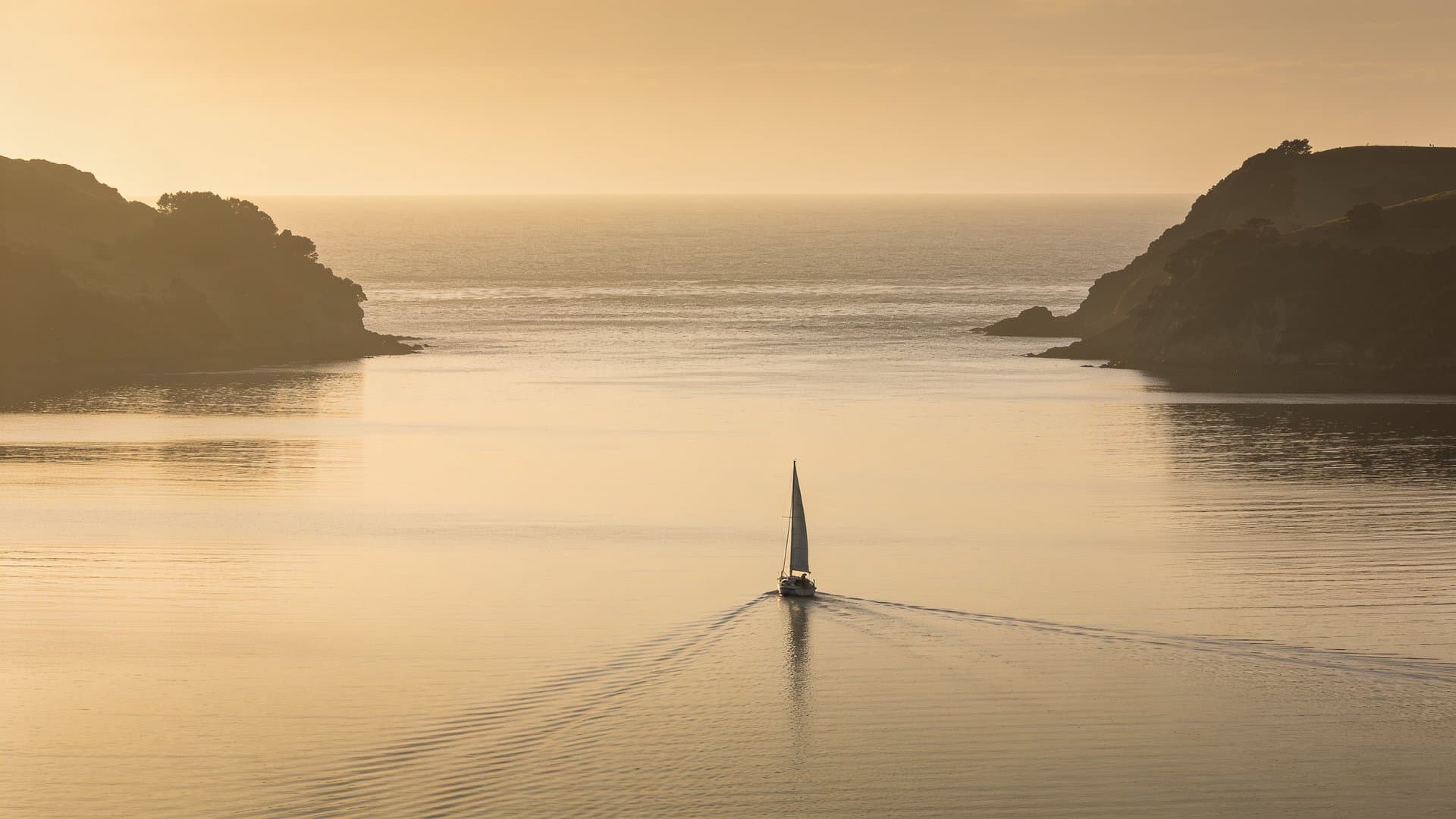 Single sailboat leaving a calm New Zealand harbour toward open water at dawn, representing the early years of business ownership