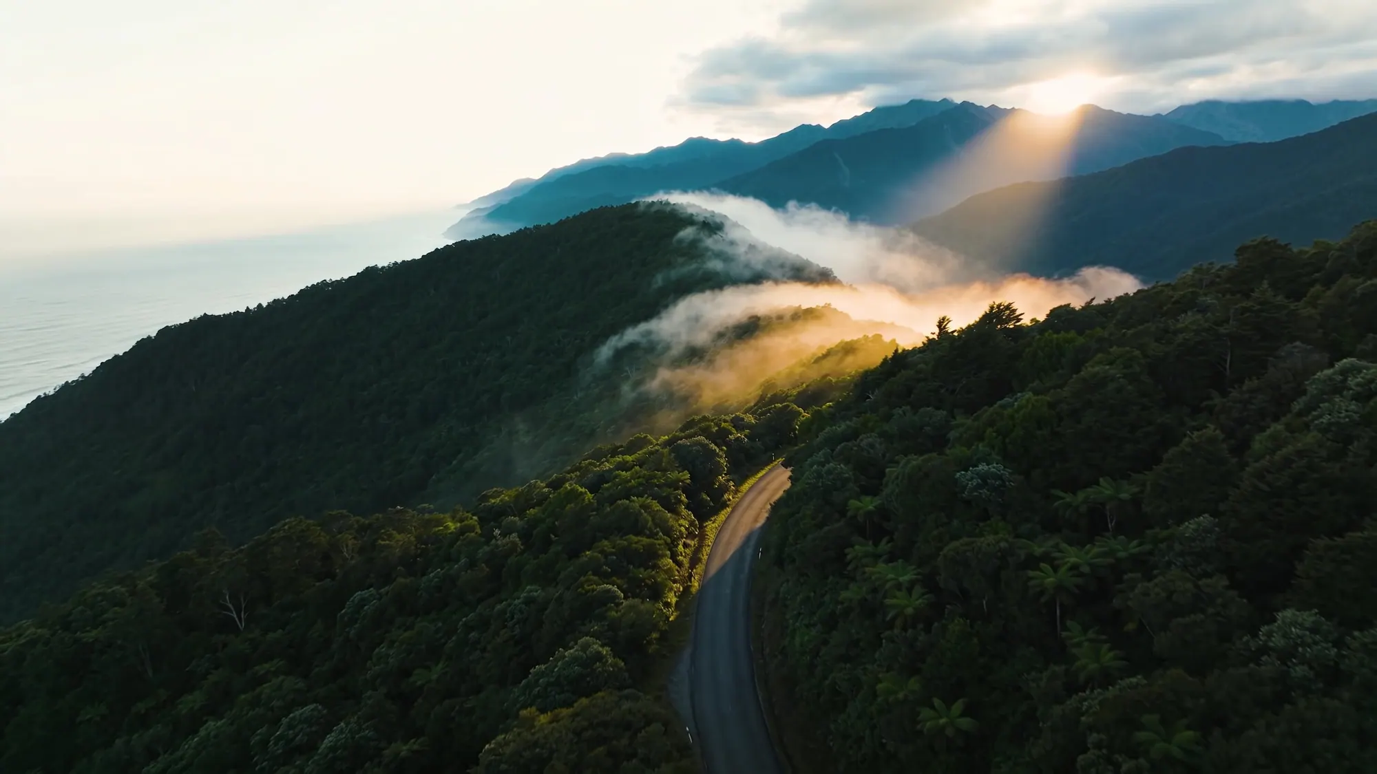 A road winding through New Zealand native bush toward misty coastal mountain ranges at sunrise